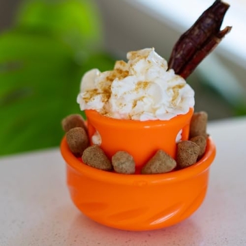 Messy Mutts Totally Pooched Puzzle 'n Play Mushroom | Interactive Treat Puzzle Toy for Dogs | Durable 4” x 3.5” TPR Dog Toy | Teal