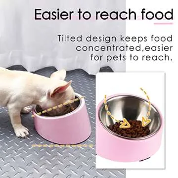 15 Degree Slanted Dog Bowl for Mess-Free Pet Feeding
