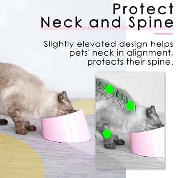 15 Degree Slanted Dog Bowl for Mess-Free Pet Feeding