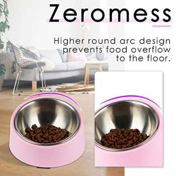 15 Degree Slanted Dog Bowl for Mess-Free Pet Feeding