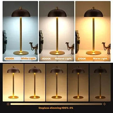 JONEMO Cordless Table Lamp - Rechargeable & Adjustable Light