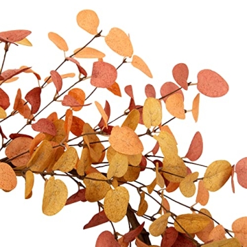 VGIA 18 Inch Fall Wreath Ideal for Autumn Decor