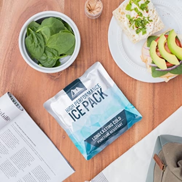 Titan Deep Freeze Ice Pack - 2 Pack for Long-Lasting Cold