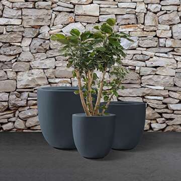 Kante Set of 3 Modern Decorative Concrete Planters for Home and Garden