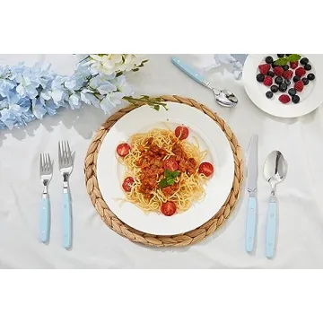 ANNOVA 20-Piece Stainless Steel Silverware Set with Color Handle