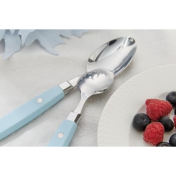 ANNOVA 20-Piece Stainless Steel Silverware Set with Color Handle