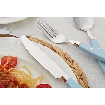 ANNOVA 20-Piece Stainless Steel Silverware Set with Color Handle