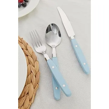 ANNOVA 20-Piece Stainless Steel Silverware Set with Color Handle