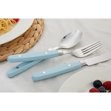 ANNOVA 20-Piece Stainless Steel Silverware Set with Color Handle