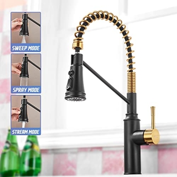 Stylish Achelous Kitchen Faucet with Pull Down Sprayer