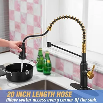 Stylish Achelous Kitchen Faucet with Pull Down Sprayer