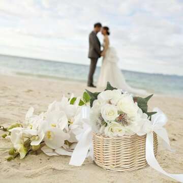 Flower Girl Basket with Pearl Handle Wedding Flower Basket Cute Rattan Wicker Basket with White Ribb...