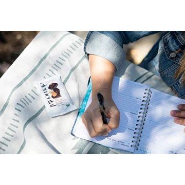 Elemental Superfood Seedbar - Dark Chocolate & Peanut Butter 12 Pack