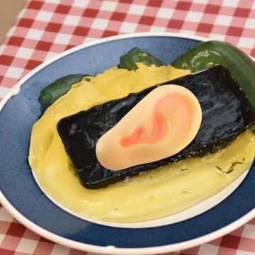 Toyvian 8 Pcs Jumbo Fake Ears Latex Fake Ears Simulation Ear Prop Tricks Ears Costume for Kids Holiday Cosplay Party Props Accessories