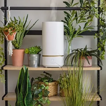 WOOZOO Ultrasonic Humidifier - 3L Cool Mist Quiet Comfort