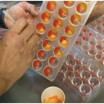 Chocolate Therapy Assorted Gourmet Truffle Box, 12 pc