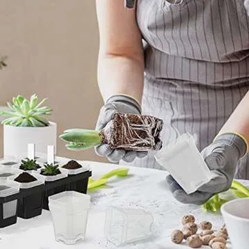 foxany 3" Clear Nursery Pot, 60 Pcs Thick Plastic Square Planting Pots Without Saucers, Plant Seedling Pots, Seed Starting Pots with 100Pcs Plant Labels