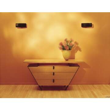 Bose 161 Speaker System (Black) - Ideal for Stereo or Home Theater use