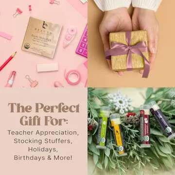 USDA Organic All Natural Lip Balm 4 Pack for Gifting