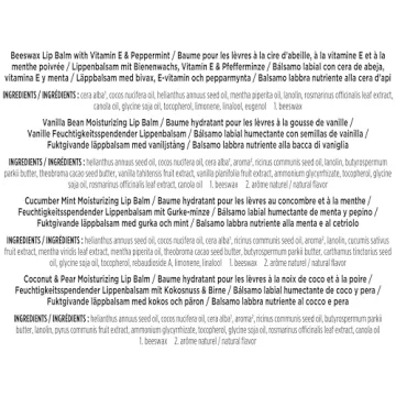 Burt's Bees Christmas Gift Set, 4 Assorted Lip Balms