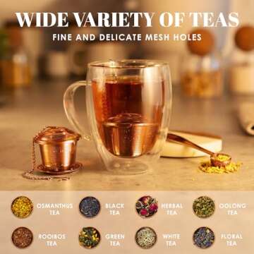 Tea Infuser (Set of 2) with Tea Scoop and Drip Dray - Ultra Fine Tea Strainer for Loose Leaf Tea - S...