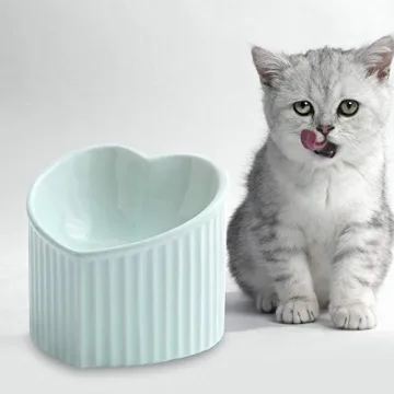 Green Ceramic Raised Cat Bowls for Comfortable Eating