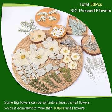 12“ Large Dried Pressed Flowers for Art Crafts, Real Dry Natural Flower Leaf Fruit Bulk for Resin Mold, Cake Decor, Glass Frame (Winter Silver)