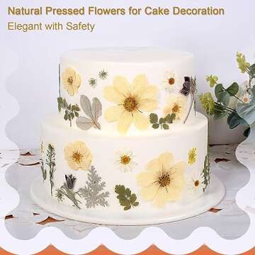 12“ Large Dried Pressed Flowers for Art Crafts, Real Dry Natural Flower Leaf Fruit Bulk for Resin Mold, Cake Decor, Glass Frame (Winter Silver)