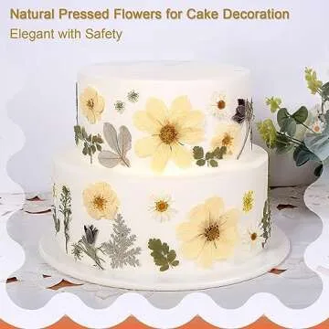 12“ Large Dried Pressed Flowers for Art Crafts, Real Dry Natural Flower Leaf Fruit Bulk for Resin Mold, Cake Decor, Glass Frame (Winter Silver)