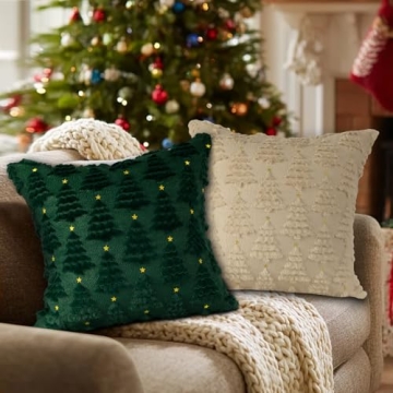 Lanpn 22x22 Christmas Throw Pillow Covers Set of 2