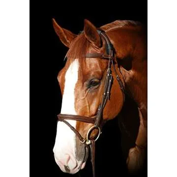 BENEFAB Therapeutic Poll Pad | Far-Infrared Therapy | Comfort & Care for The Poll | Helps Jaw Tensio...