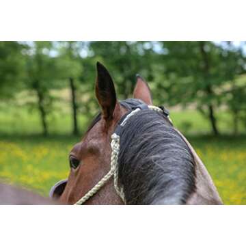 BENEFAB Therapeutic Poll Pad | Far-Infrared Therapy | Comfort & Care for The Poll | Helps Jaw Tension | Provides Relief & Cushion (Solid Black)