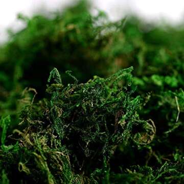 Fake Moss for Crafts, Artificial Green Moss for Potted Plants Centerpieces Decor (3.5OZ)