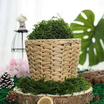 Realistic 3.5OZ Green Moss for Crafts and Decor