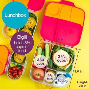 b.box Kids Lunch & Snack Containers. 3-Pack Set Includes Matching Oversized Bento Lunch Box, Mini Meal Boxes for Kids and Toddlers. School Supplies (Strawberry Shake)