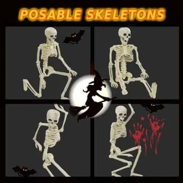 FKWin 16" Posable Mini Skeleton Halloween Decor