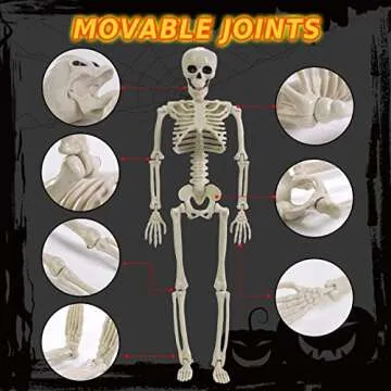 FKWin 16" Posable Mini Skeleton Halloween Decor