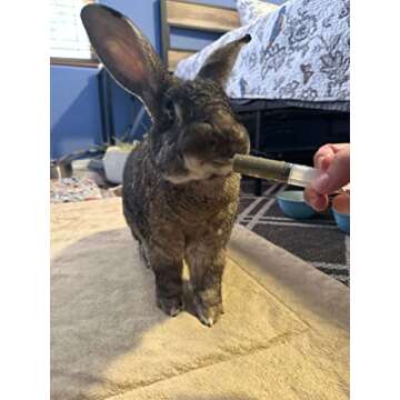 Sherwood Pet Health Rabbit Emergency kit and Bulk Recovery Food (Small kit)