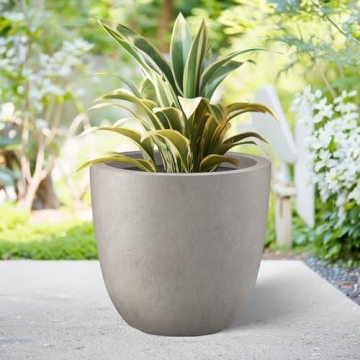 Elegant 18 Inch Round Concrete Planter for Home and Garden