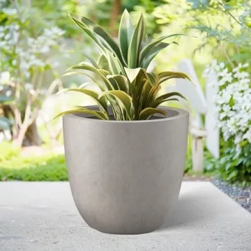 Elegant 18 Inch Round Concrete Planter for Home and Garden