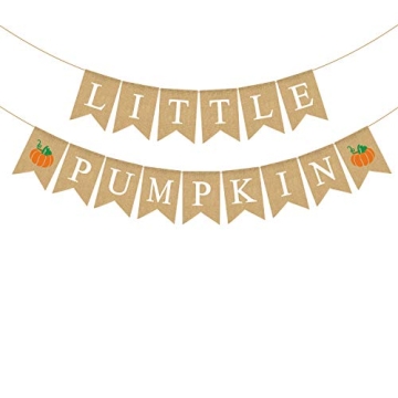 Jute Burlap Little Pumpkin Banner Fall Baby Shower Gender Reveal Birthday Party Garland Decoration