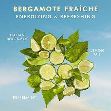 Moroccanoil Treatment with Bergamote Fraiche Body Lotion Sample