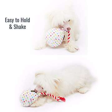 Pet London Birthday Balloon Dog Toy - Plush Rainbow Party Gift