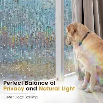 Vibrant 3D Rainbow Window Privacy Film - Easy Application