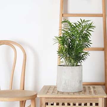 Pageqiu Plant Pots - 7.7 inch Cement Planters Indoor - Modern Grey Flower Pot with Drainage Hole - Home Office Decor