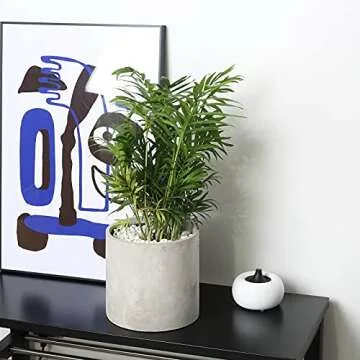 Pageqiu Plant Pots - 7.7 inch Cement Planters Indoor - Modern Grey Flower Pot with Drainage Hole - Home Office Decor