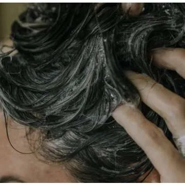 EVOLVh - UltraShine Travel Duo (Shampoo + Conditioner) | Vegan, Non-Toxic, Clean Hair Care (2 fl oz | 60 mL)