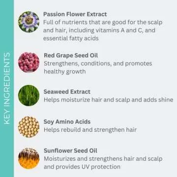 EVOLVh - UltraShine Travel Duo (Shampoo + Conditioner) | Vegan, Non-Toxic, Clean Hair Care (2 fl oz | 60 mL)