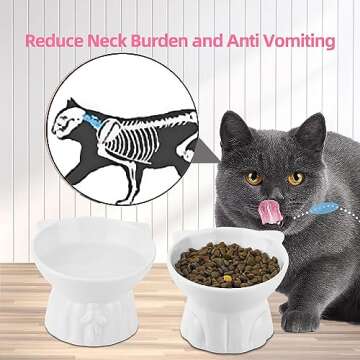 2Pcs Ceramic Elevated Cat Bowls for Comfortable Dining
