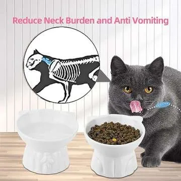 2Pcs Ceramic Elevated Cat Bowls for Comfortable Dining